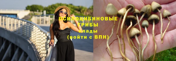 наркотики Инсар
