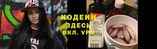 винт Инта