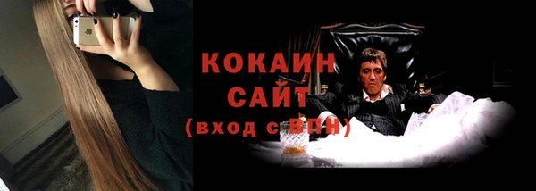 винт Инта