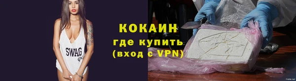 винт Инта