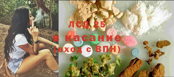 винт Инта