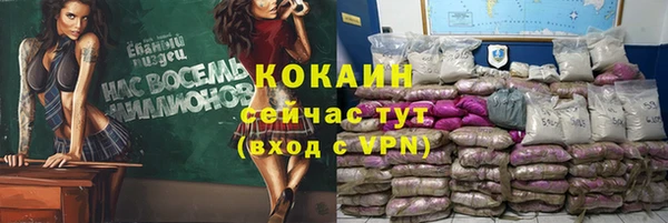 винт Инта