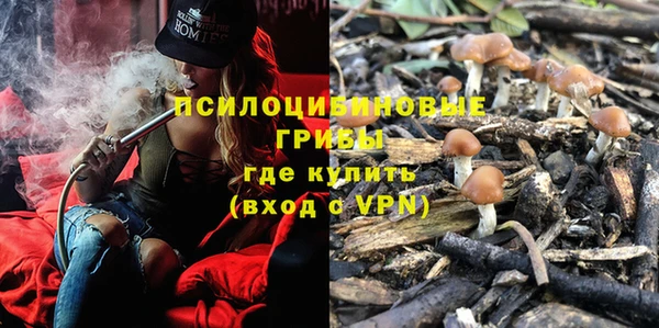 винт Инта