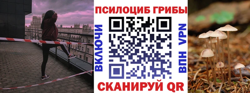 сколько стоит  Лосино-Петровский  это клад  Галлюциногенные грибы Psilocybe 